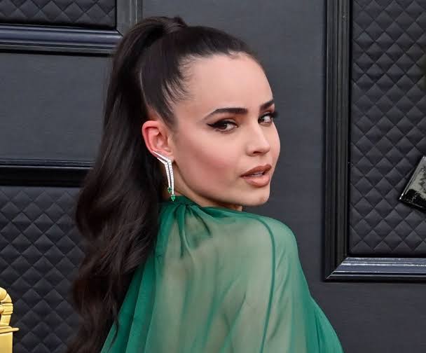 Sofia Carson To Lead ‘My Oxford Year’ Movie Adaptation [Exclusive!]
